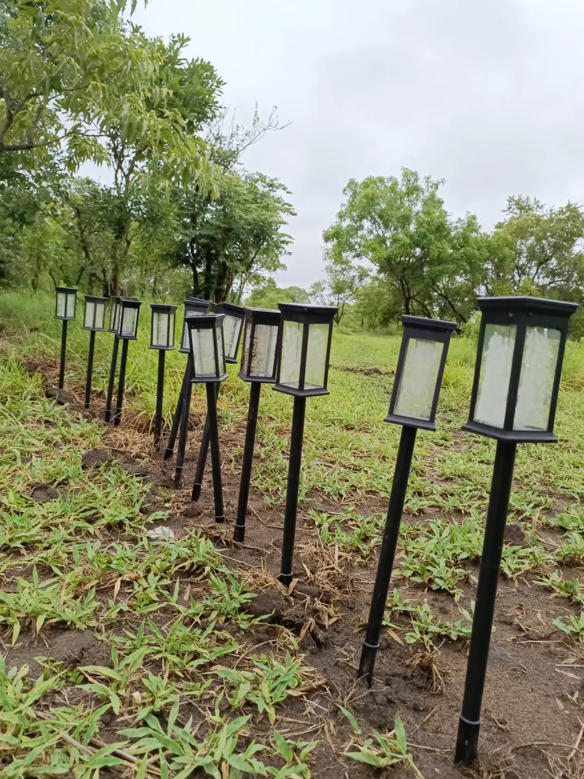 Path lights among the greenery at Nje Bush Camp